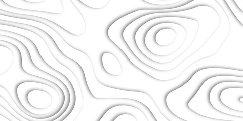 Abstract white paper cut shapes background with shadow and topography  map concept. Abstract realistic Papercut decoration background. Vector illustration