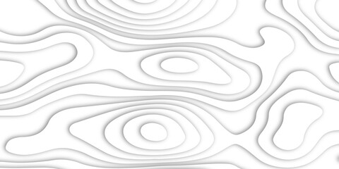 Fototapeta premium Abstract white paper cut shapes background with shadow and topography map concept. Abstract realistic Papercut decoration background. Vector illustration