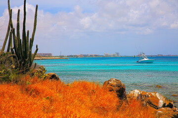 Secluded turquoise beach in Aruba, Caribbean Blue sea, Duth Antilles