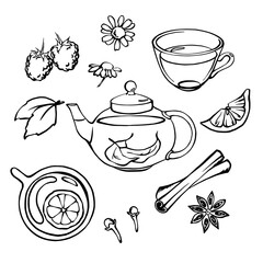 Hand drawn glass tea pot with tea cups, herbs, fruits and spices. Tea set of design elements