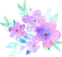 Flowers watercolor illustration