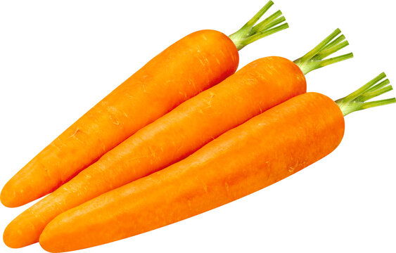 Carrot on white background, Fresh Carrot Isolaet on white with clipping path.