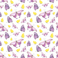 seamless pattern yellow, purple butterfly isolated on white. Watercolor hand drawn insect llustration for design
