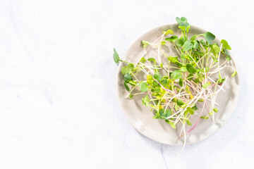 Microgreens
