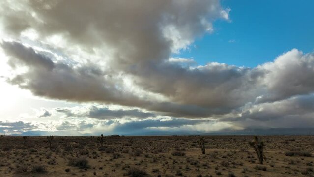 Dramatic storm clouds over a Joshua tree grove in the Mojave Desert - sliding aerial flyover