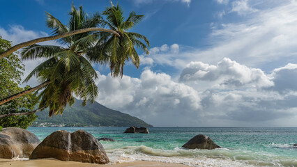 A picturesque beach on a tropical island. Granite boulders are scattered in the turquoise ocean, on the sand. Palm trees bent over the water. Lush leaves and trunks against a blue sky and clouds
