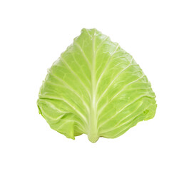 Fototapeta premium cabbage isolated on white background