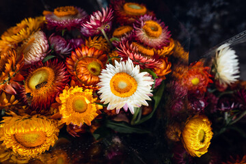 colorful flowers in the market