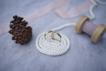Fototapeta na wymiar rings with rope on white background