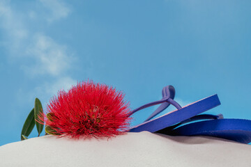 A Kiwi summer beach scene with a beautiful red flower of New Zealand's iconic summer flowering Pohutukawa tree alongside a pair of footwear known as jandals resting on a sandy beach with a blue sky.