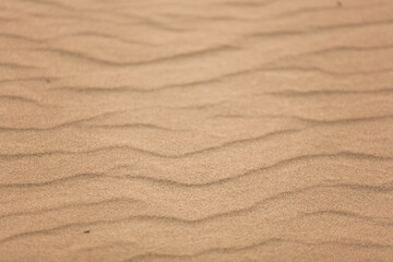 Top view of beautiful golden sand dunes with ripples in desert