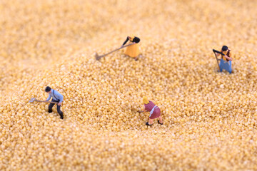 Miniature scene farmers on millet