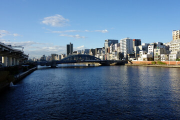 Obraz premium 東京日本優雅、隅田川、見渡すと首都の街の大河の遠景風物詩