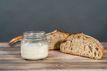 Sourdough starter