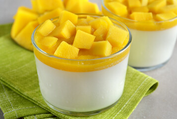 Dessert panna cotta with mango