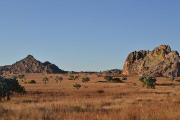 Naklejka premium Madagascar