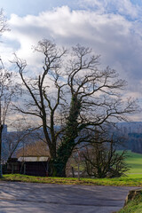 Scenic view of landscape from hill with bare tree and blue cloudy sky at City of Zürich district Seebach on a winter noon. Photo taken January 31st, 2023, Zurich, Switzerland.