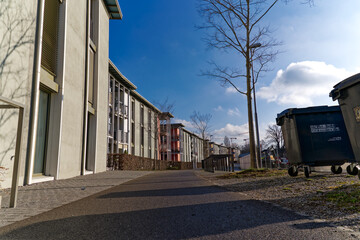 Frog perspective of pavement with tree alley at City of Zürich district Seebach on a sunny winter noon. Photo taken January 31st, 2023, Zurich, Switzerland.
