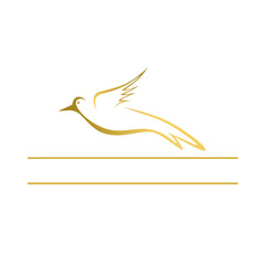 Flying bird logo illustration or silhouette design vector