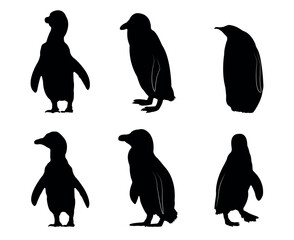 Collection of black silhouettes penguins