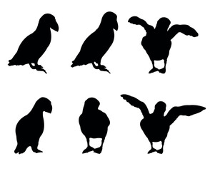 Collection of black silhouettes puffins