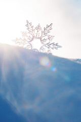 Beautiful ice crystal lies in the snow and glistens in the sun, bokeh in the blue background