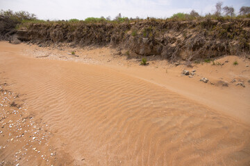 Wild coast of the Caspian Sea.