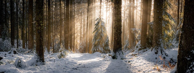 Narnia Northern Ireland