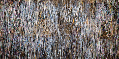 wooden Brande briar reed gray natural brown grey old wall fence facade wood background horizontal header web