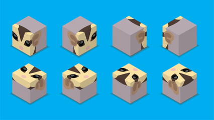 Animal Dice 3D Character Animal Sugar Glider Cartoon Vector
