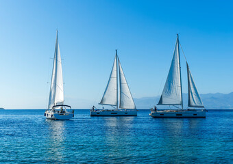 Fototapeta premium sailing yacht boats with white sails in blue sea , seascape of beautiful ships in sea gulf with mountain coast on background