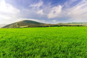 green landscape of spring field with green young grass and amazing hills on background