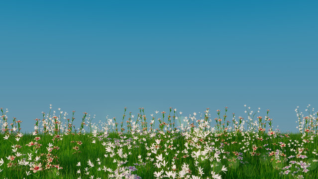 Summer Field Wallpaper with copy-space. Natural Scene with Long Grass, Wild Flowers and Clear Blue Sky.