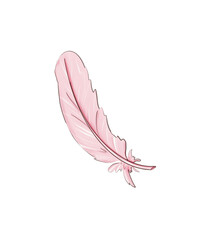 air pink feather
