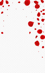 Beautiful Lotus Spring Vector Transparent