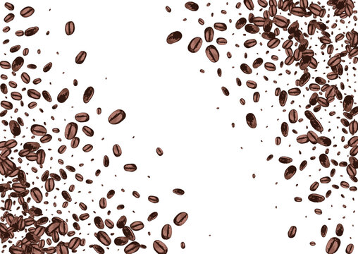 Black Seed Graphic Vector White Background. Drawn