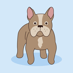 The French bulldog stands straight and looks ahead. Vector illustration of a pet in cartoon style. Isolated illustration of a dog on a blue background.