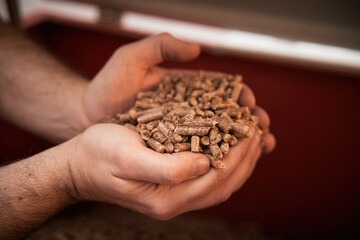 Sustainable and renewable bioenergy concept. Wood pellet in hands.