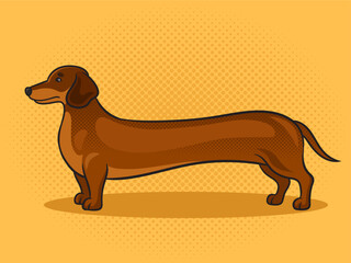 very long dachshund dog pinup pop art retro vector illustration. Comic book style imitation.