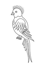 Quetzal bird. Editable outline stroke. Vector line illustration.