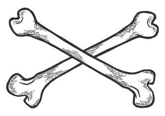 Crossed bones sketch engraving PNG illustration with transparent background