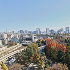 Obraz premium 東京冬景色