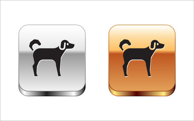 Black Dog icon isolated on white background. Silver-gold square button. Vector