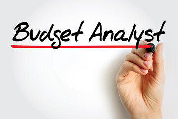 Budget Analyst are responsible for reviewing the organization's budget and approving spending requests, text concept background