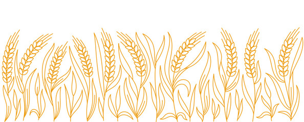 Ears of wheat rye or barley. Cereal agriculture field. Vector line. Editable outline stroke. © Ilia