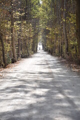 "Taking the Open Road by Storm on a Harley Davidson"