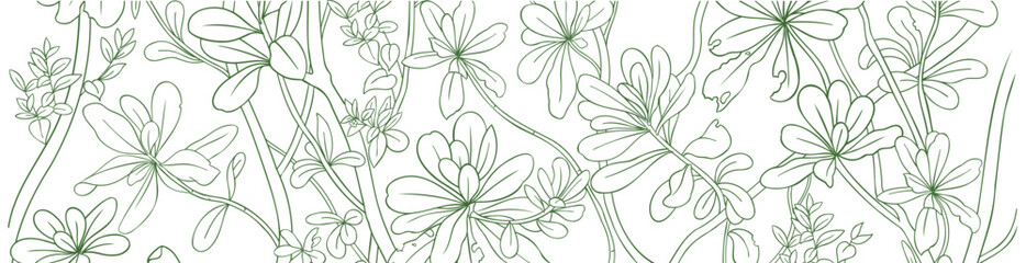 Tropical background. Scaevola taccada flowering plant. Sketch hand drawn vector illustration.