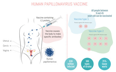 Infographic on how human papillomavirus vaccines work, and types of vaccines