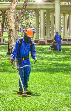 African Man , Contractor, With A Trimmer Cutting Grass