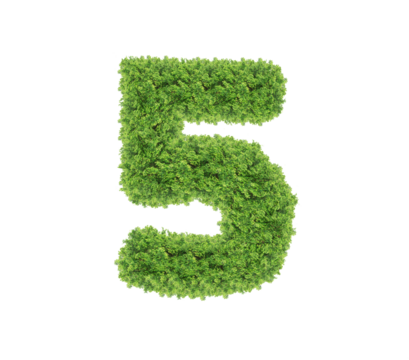 Grass number Five isolated on white background. Symbol 5 with the green lawn texture. Eco symbol collection. with clipping path and alpha channel for both printing and web pages.